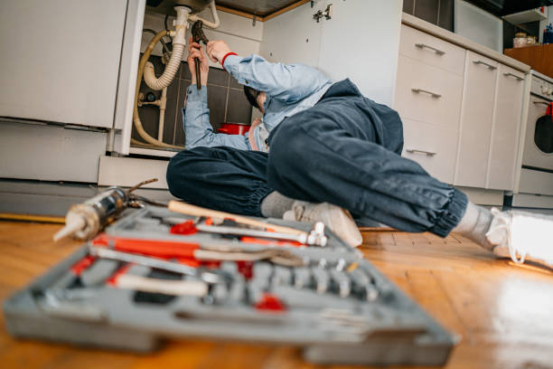 Best Affordable Plumbing Services  in International Falls, MN