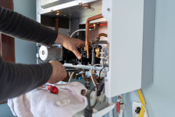 Best Plumbing Inspection Services  in International Falls, MN